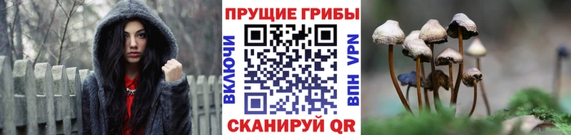 Галлюциногенные грибы MAGIC MUSHROOMS  Электросталь 